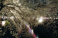 Photo_3